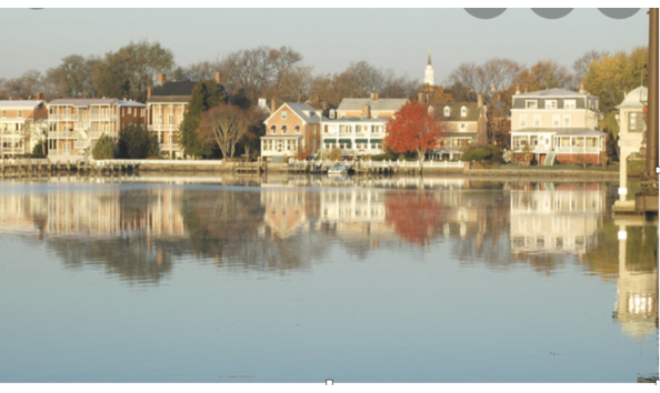 Big image screen shot 2021 03 13 at 12.11.05 pm