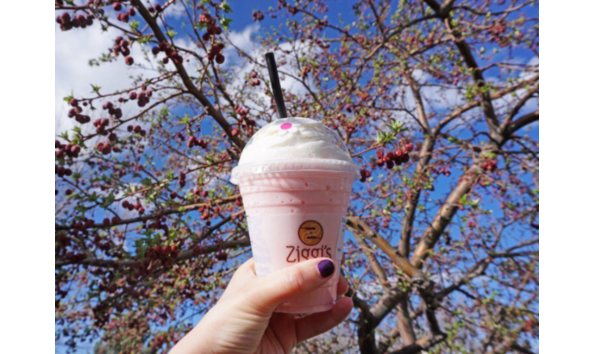 Big image screen shot 2017 05 03 at 12.35.40 pm