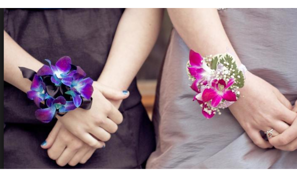 Big image screen shot 2017 05 03 at 1.06.18 pm