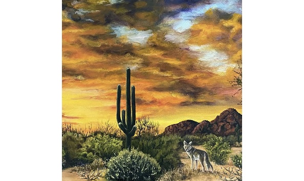 Big image 490c39d5 968e 4b5d 8710 7de8a94abab2 1 201 a