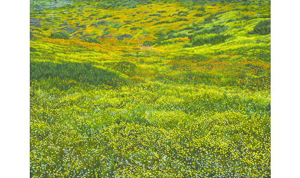 Big image superbloom2 1400