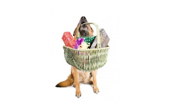 Big image 162935 283x425 dog bday gift basket