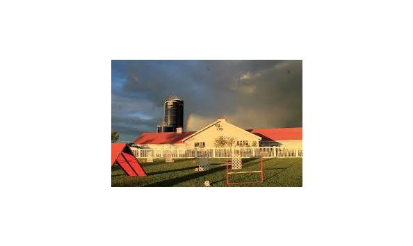 Big image download  1 