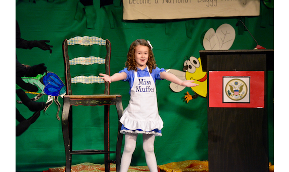 Big image insect play sgg