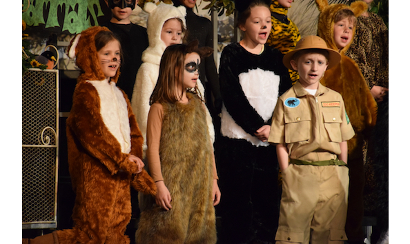 Big image animal play sgg