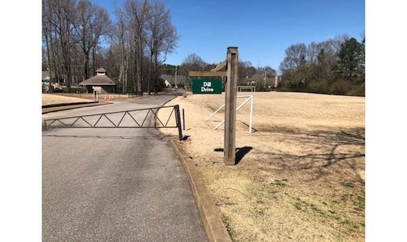 Big image early childhood street sign