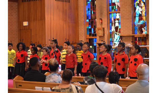 Big image insect memphis