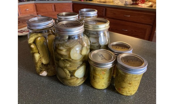 Big image pastorpickle