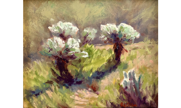 Big image e84b1966 c9fc 461f 9482 0aea044275d8 1 201 a