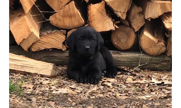 Big image fullsizerender