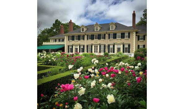 Big image mini magick20170505 100074 1hjhf8y