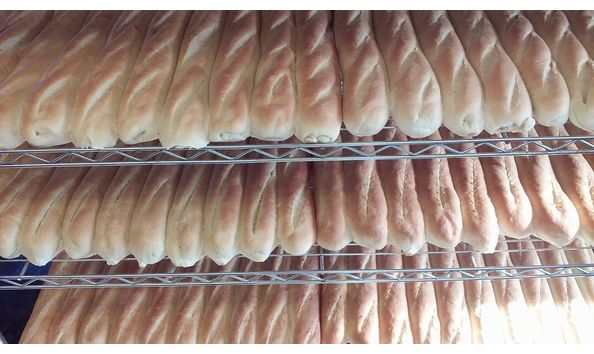 Big image mini magick20170505 100074 h572v5