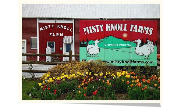 Big image mistyknolls