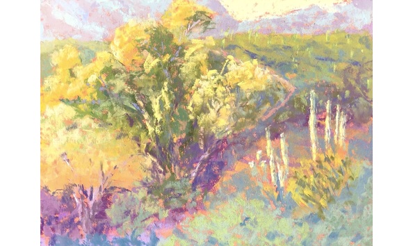 Big image dc12007a 7883 4bd3 bf76 0e337016dca7 1 201 a