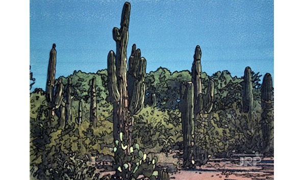 Big image 1518254e 3da1 411c b1c4 3375031f870d 1 201 a