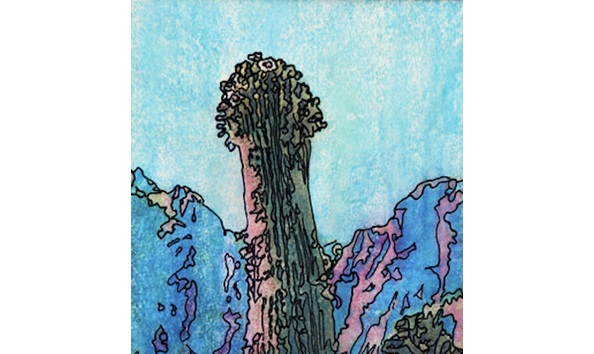 Big image af8bd177 08da 4499 b26f 6dd1667d350c 1 201 a