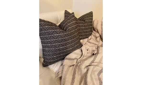 Big image pillows and throw