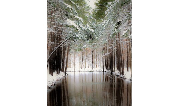 Big image img 1287ps  4 x11x14 print 300