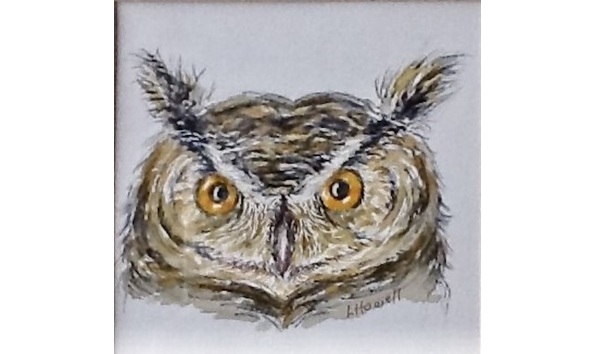 Big image 8c9cef05 1a84 4c6d b4e5 313e1b068f56 1 201 a