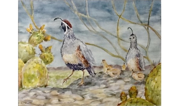 Big image 4e48acd1 7843 4e51 b9db 71a83064f0d6 1 201 a