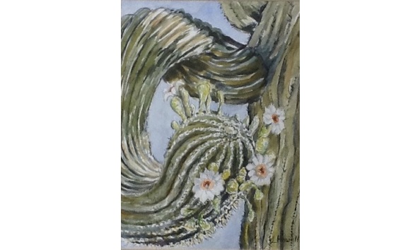 Big image 19788f5b c49b 4556 9974 480f8b5f357d 1 201 a