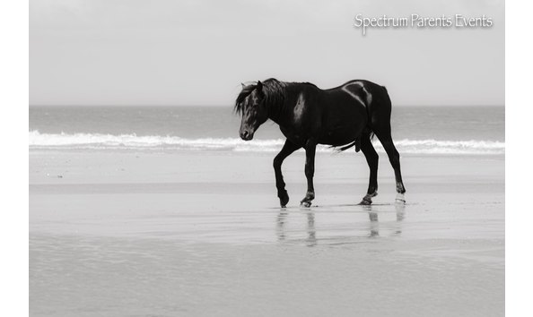 Big image 118582394 10157474572523513 7063516140998341616 o