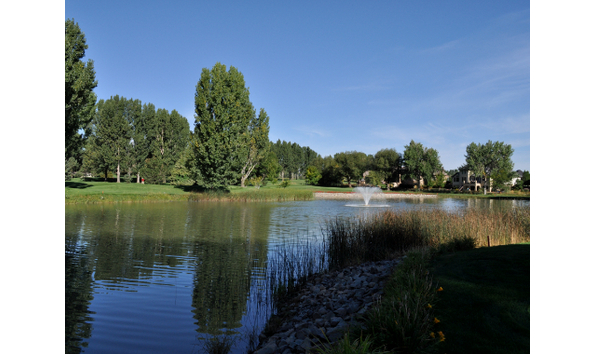 Big image fox hill 1