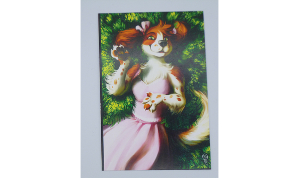 Big image mini magick20210320 11625 vqxt9p