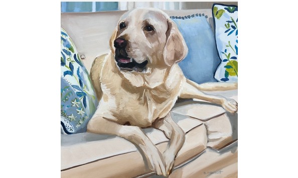 Big image example of mellot dog portrait