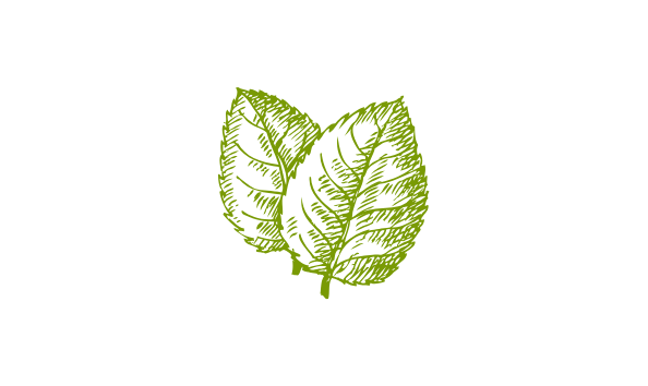 Big image mini magick20210322 87238 sb4dvs