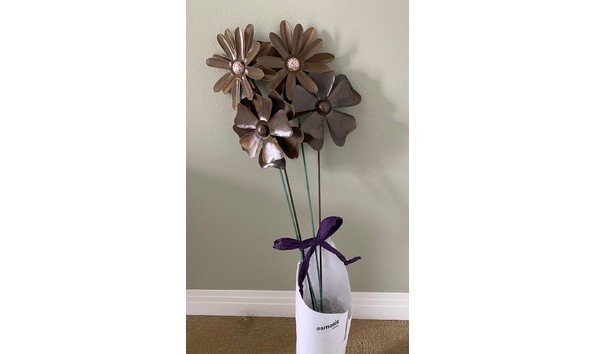 Big image osmosis 2  2 