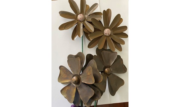 Big image osmosis 1  2 