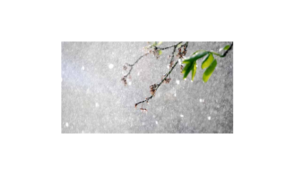 Big image mini magick20210323 110032 12rqszq