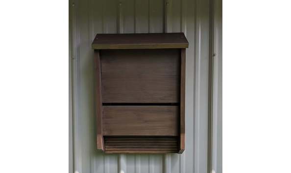 Big image il 1588xn.1633680897 isuu