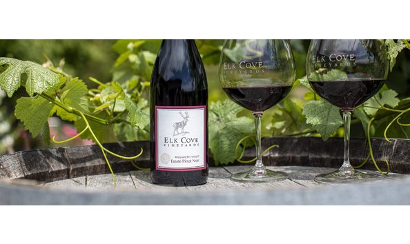 Big image 5q1a9333 lr 2 e1611681845831