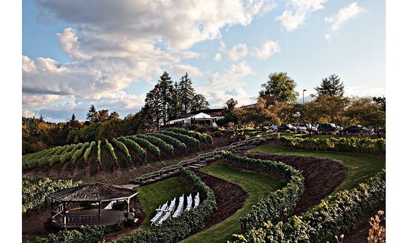 Big image 5e17158756f89e3a16fb4a1d9c22c2e5