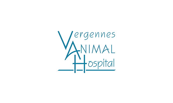 Big image vergennesanimalhosp3