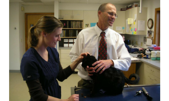 Big image vergennesanimalhosp2