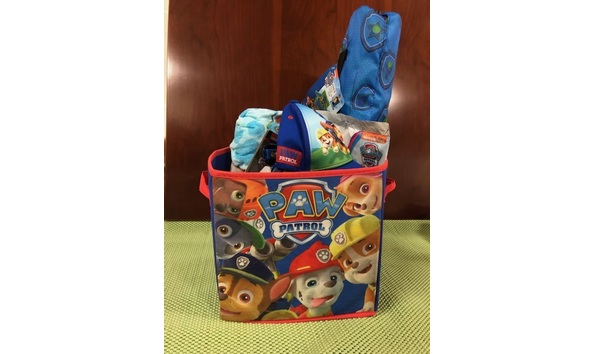 Big image paw patrol