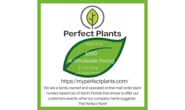 Big image item 86 perfect plants