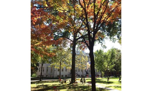 Big image harvard yard photo
