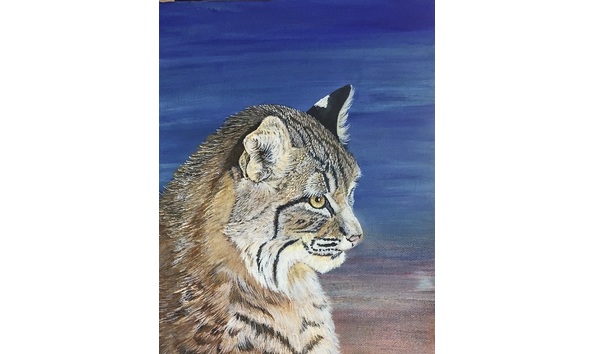 Big image f6601752 c17b 463a 96ef 66a7a6a7d2ec 1 201 a