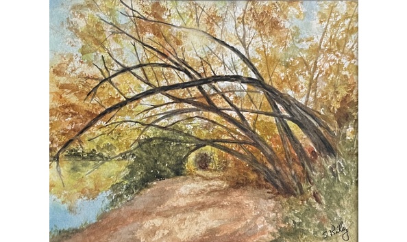 Big image 4795085b f25d 4148 9607 5a4b84e06af6 1 201 a