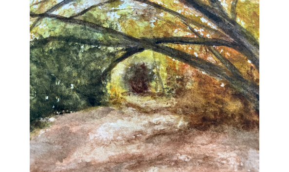 Big image ce4cf91a 57a1 4993 bf37 13750800c10b 1 201 a