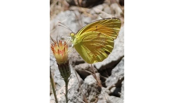 Big image 6e214ad3 1974 442c 9ef5 1100fe40c9da 1 201 a