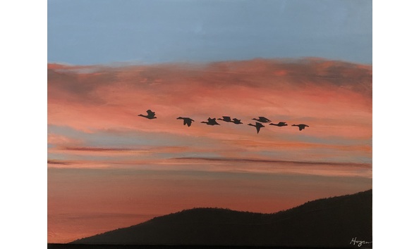 Big image d7bd96ba 31b9 4991 aeee f061244bdacf 1 201 a