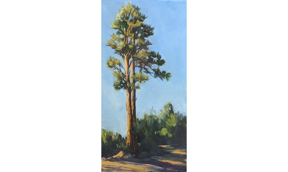 Big image 437321a9 6670 49c3 b57e 7ddf5361d22a 1 201 a