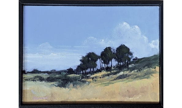 Big image 10e3be69 3a2d 4f31 95e2 e48aed38b1bb 1 201 a