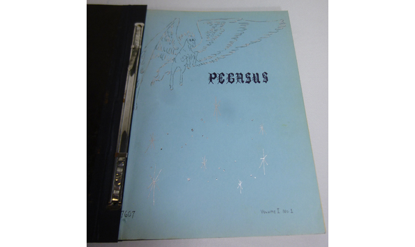 Big image 202103fmag011   pegasus