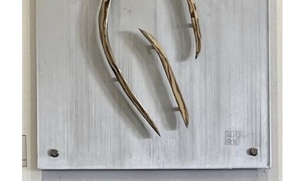 Big image 06c2abda 990a 4c49 9366 f8b29ff60376 1 201 a